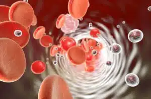 quaceutical Cellular Nutrition Technology